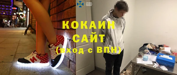 ECSTASY Алзамай