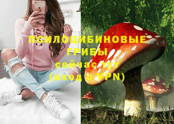 меф Алексин