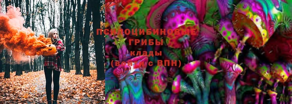 ECSTASY Алзамай