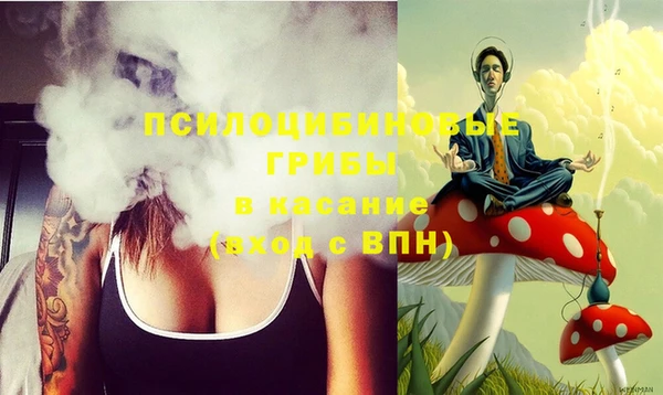 ECSTASY Алзамай